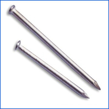 common nails for construction usage iron nails